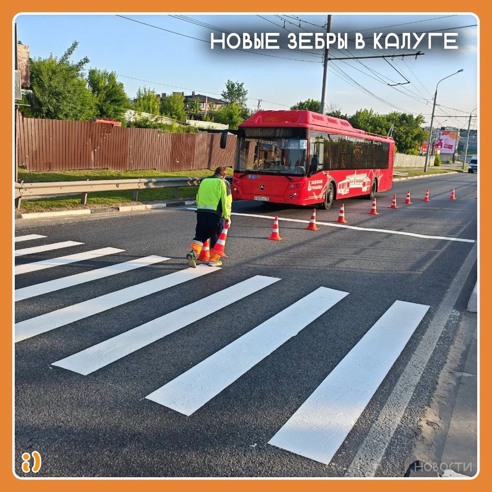 НОВЫЕ ЗЕБРЫ В КАЛУГЕ