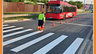 НОВЫЕ ЗЕБРЫ В КАЛУГЕ