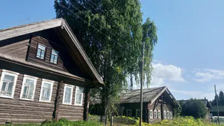 Какие деревья сажали у дома на Руси, а какие категорически избегали и вырубали