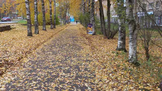 Погода в Калужской области 3 октября: прогноз обещает до +14 °C