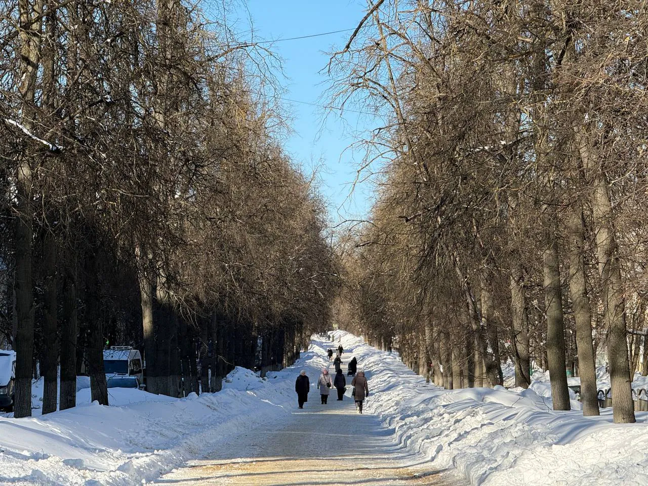 В Калуге готовятся к благоустройству бульвара на Чичерина