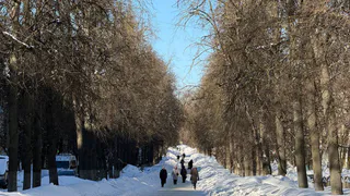 В Калуге готовятся к благоустройству бульвара на Чичерина