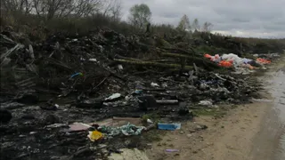 В Калужской области из-за свалки с ущербом на 20 миллионов рублей возбудили уголовное дело о порче земли