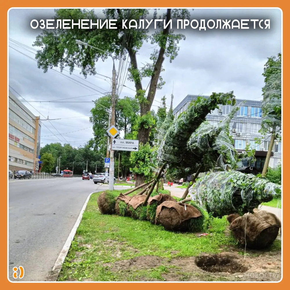 ОЗЕЛЕНЕНИЕ КАЛУГИ ПРОДОЛЖАЕТСЯ