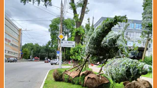 ОЗЕЛЕНЕНИЕ КАЛУГИ ПРОДОЛЖАЕТСЯ
