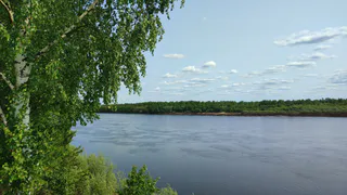 Туман и жара до +31°С ожидаются в Калужской области 10 июня