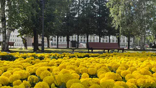 В Калужской области 17 августа ожидается теплая погода с кратковременным дождем ночью