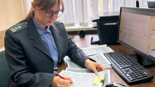 Калужские лесозаготовители нарушали фитосанитарные требования