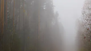В Калужской области 18 октября потеплеет до +18 градусов, но утром ожидается туман
