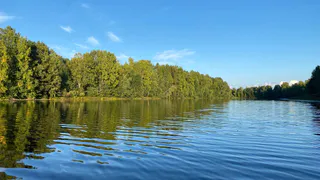 Роспотребнадзор назвал водоёмы Калужской области, где купаться опасно для здоровья