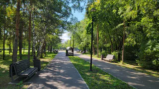 Прогноз на 4 августа в Калужской области: сухо, солнечно и до +29°С