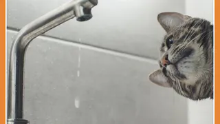 ОТКЛЮЧЕНИЕ ВОДЫ