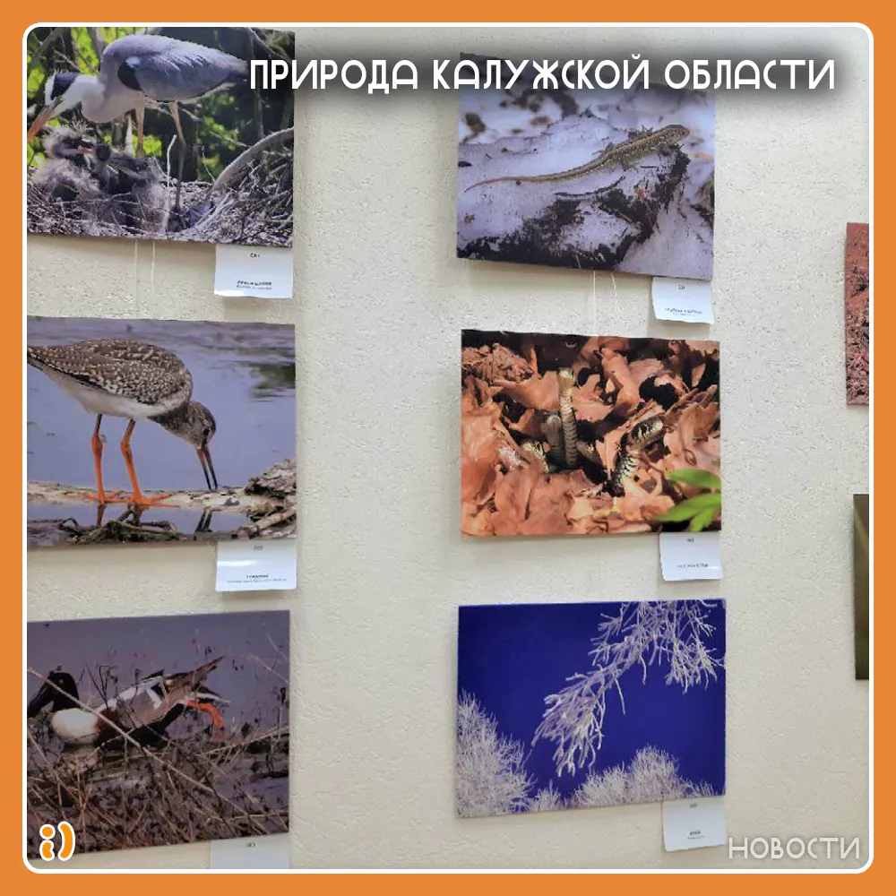 ПРИРОДА КАЛУЖСКОЙ ОБЛАСТИ