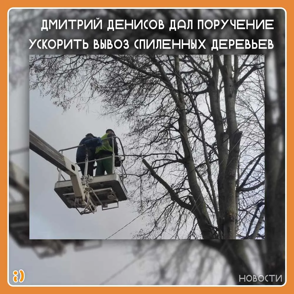 ДМИТРИЙ ДЕНИСОВ ДАЛ ПОРУЧЕНИЕ УСКОРИТЬ ВЫВОЗ СПИЛЕННЫХ ДЕРЕВЬЕВ