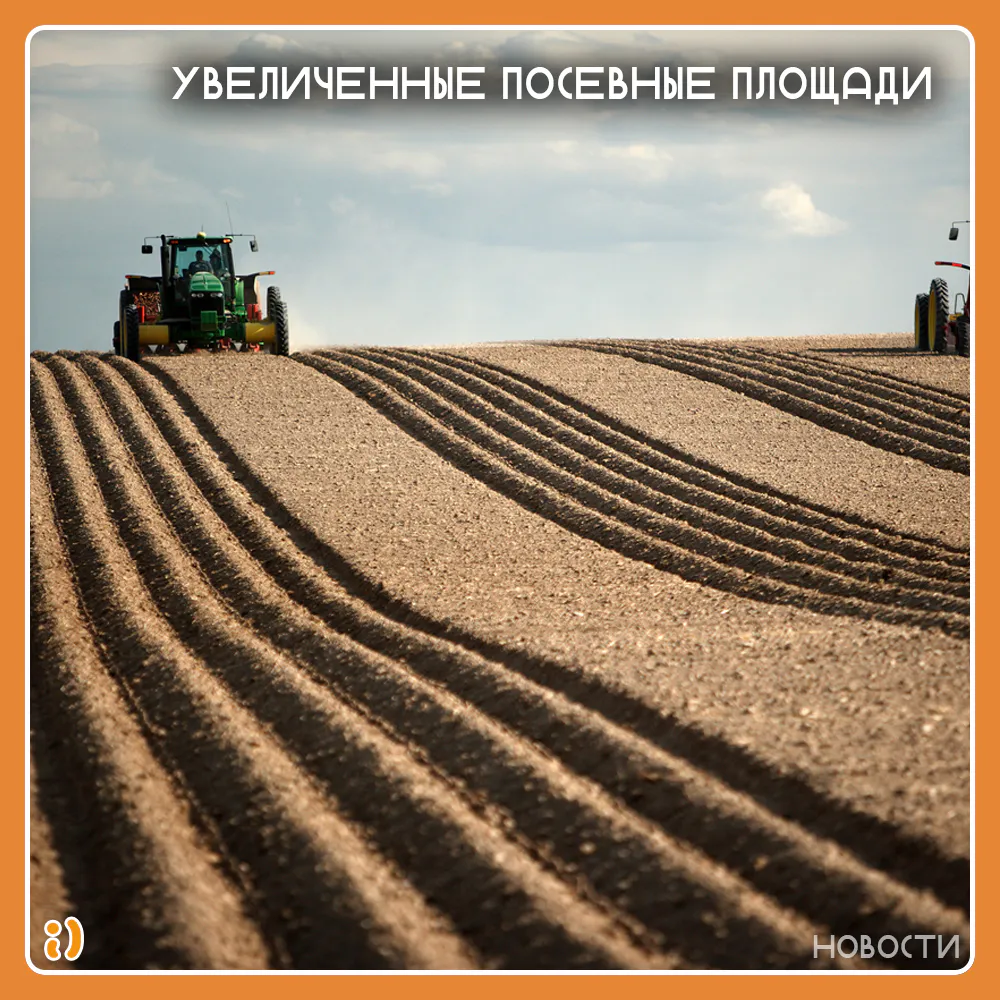 УВЕЛИЧЕННЫЕ ПОСЕВНЫЕ ПЛОЩАДИ