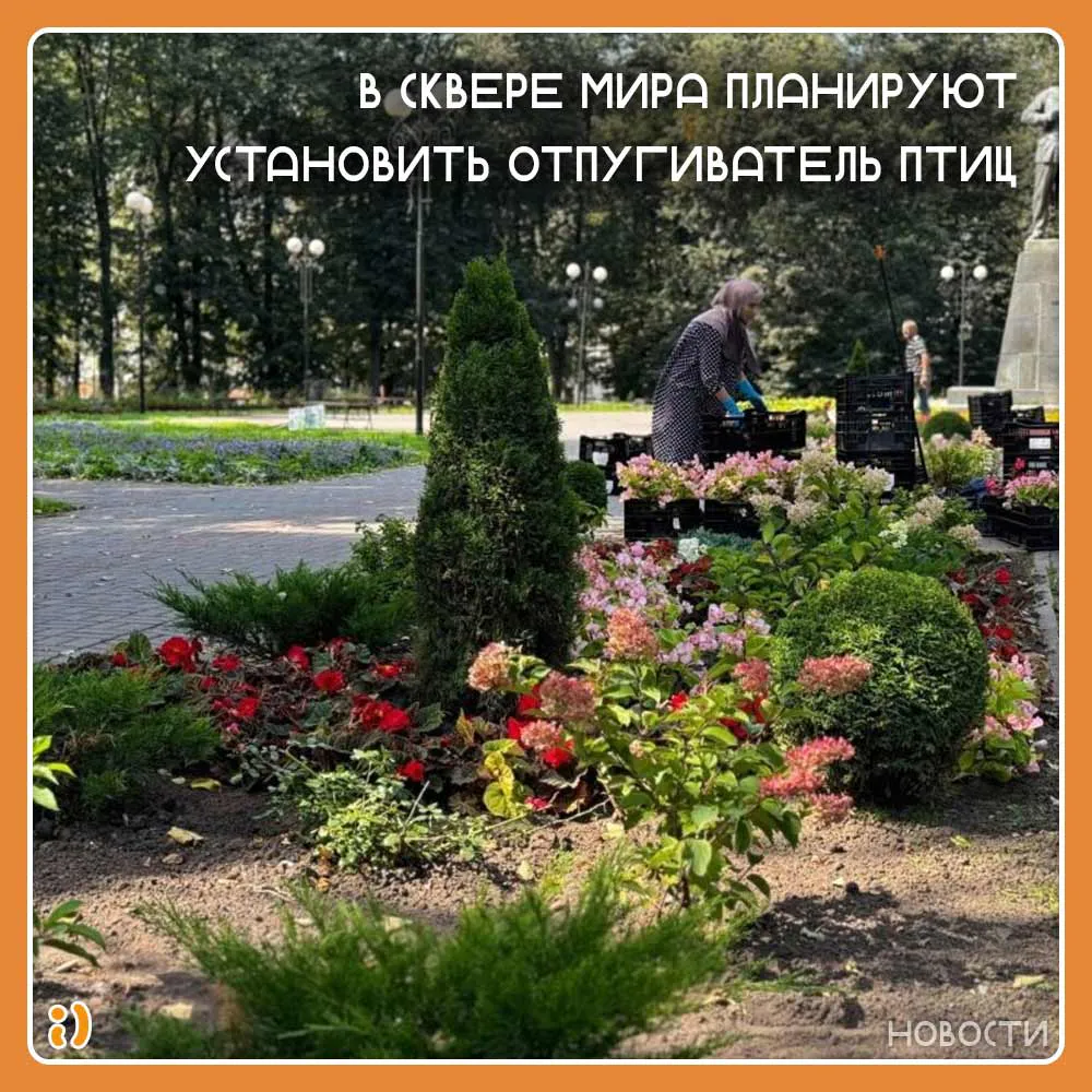 Сквер Мира украсили 1,8 тысячи новых композиций