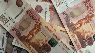 В Центральном парке Калуги за 13 миллионов рублей построят туалет с детской комнатой, пандусами и антивандальными унитазами