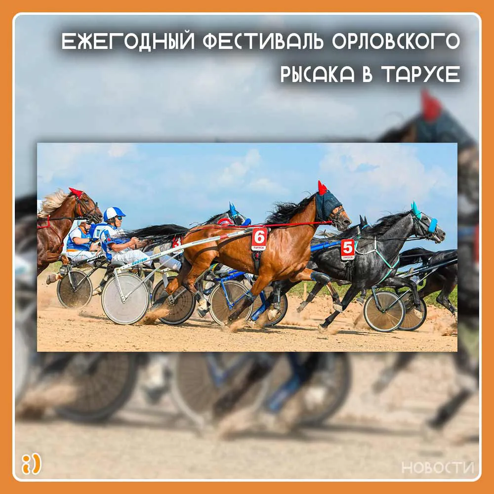 Ежегодный фестиваль орловского рысака в Тарусе