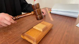 Калужский областной суд смягчил приговор мужчине, убившему собаку по кличке Зефир