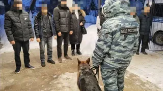 В Калужской области окончена операция "Нелегальный мигрант": выдворены 67 иностранцев