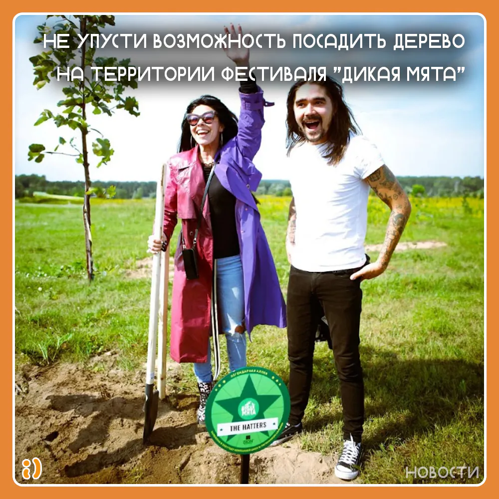 НЕ УПУСТИ ВОЗМОЖНОСТЬ ПОСАДИТЬ ДЕРЕВО НА ТЕРРИТОРИИ ФЕСТИВАЛЯ "ДИКАЯ МЯТА"