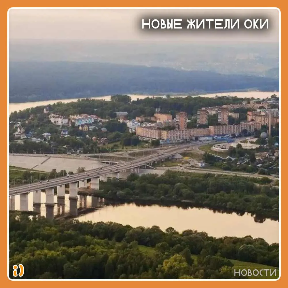 НОВЫЕ ЖИТЕЛИ ОКИ