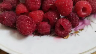 Зачем малине нужна горчица? Забытый порошок, избавит от многих проблем на вашем огороде