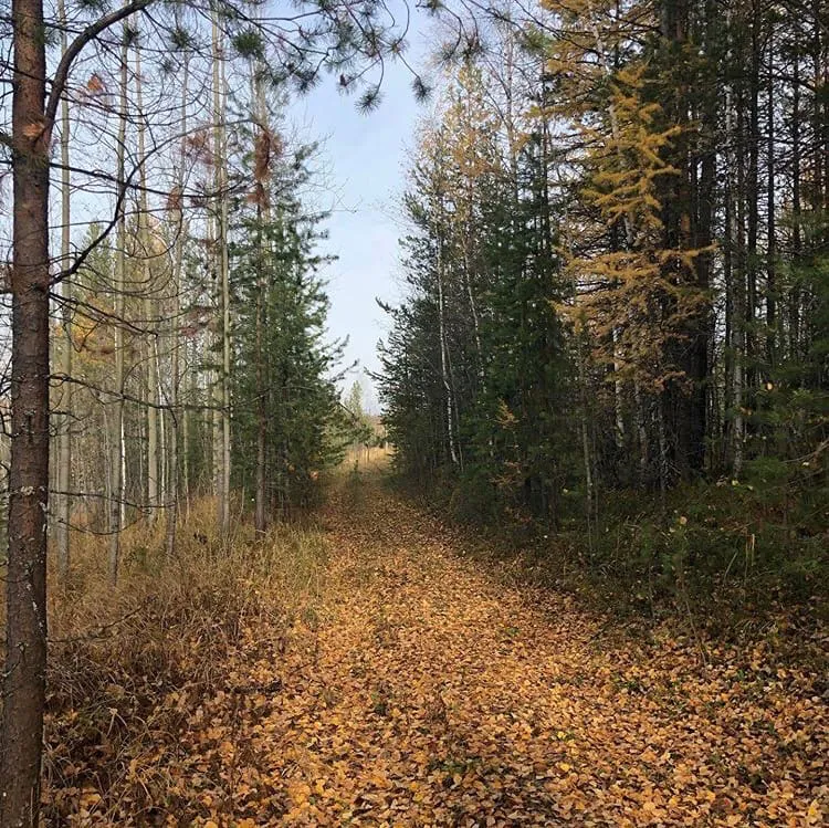 В Калужской области стартовал конкурс “Фотоохота на заповедных территориях”