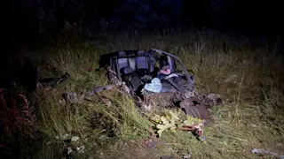 В Калужской области "Митсубиси" врезался в лесовоз: 26-летний водитель погиб на месте