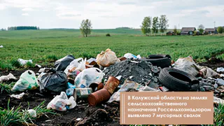 В Калужской области выявили семь несанкционированных свалок на сельхозземлях