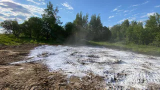 В Калужской области завершили ликвидацию 19 скотомогильников
