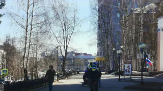 До +14 градусов и без осадков: погода в Калужской области 12 марта порадует теплом