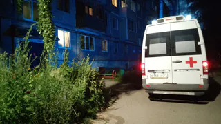 В Калужской области два человека пострадали из-за упавших деревьев