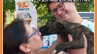 В Калужской области формируют единый электронный реестр домашних животных