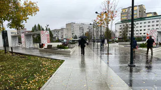 Погода в Калужской области 24 сентября принесёт сильный дождь и порывистый ветер