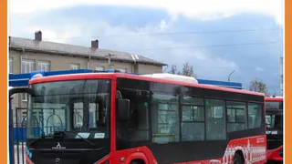 НА ДАЧУ НА АВТОБУСЕ