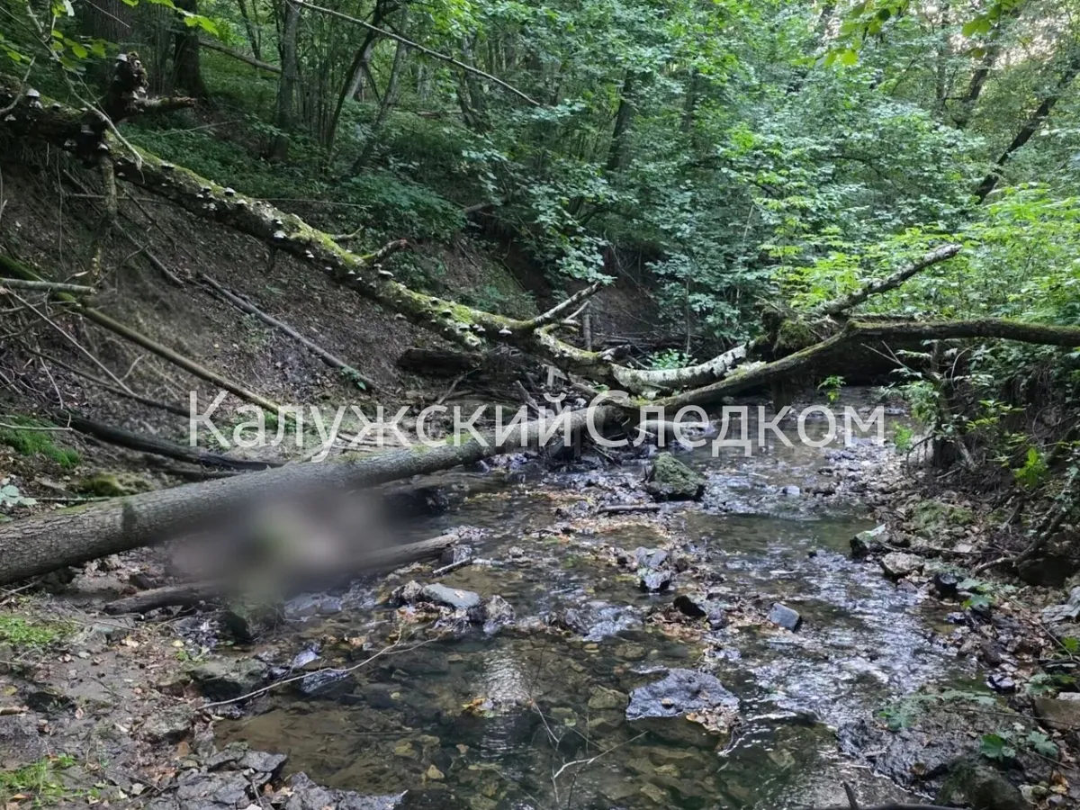 В Калужской области опознали мужчину, чье тело нашли мумифицированным в ручье