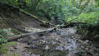 В Калужской области опознали мужчину, чье тело нашли мумифицированным в ручье