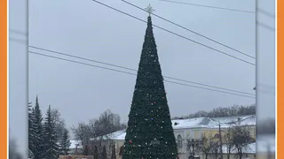 В КАЛУГЕ УСТАНОВИЛИ УЖЕ ПОЛОВИНУ ЁЛОК, КОТОРЫЕ ПЛАНИРОВАЛИСЬ