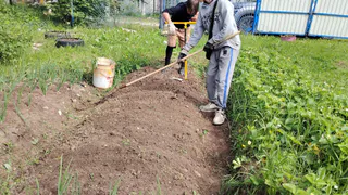 "Вечные грядки": в селе уже 3 года сооружают такие. Посмотрел и решил повторить - про подсчёт стоимости тоже рассказываю