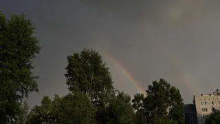 Грозы, туман и ветер до 15 м/с: прогноз погоды в Калужской области на 15 июня