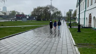 В Калужской области 15 мая ожидаются дожди с грозами и порывистый ветер
