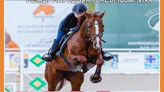 Калужские конники завоевали полный комплект медалей на международных соревнованиях