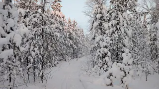 «21 февраля начнется то, чего не было 215 лет». Синоптики сказали, к чему готовиться