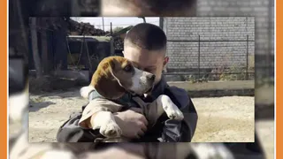 СЧАСТЛИВЫЙ КОНЕЦ ГРУСТНОЙ ИСТОРИИ