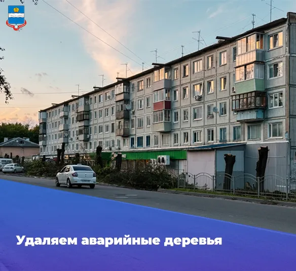 На улице Максима Горького в Калуге вырубают заражённые ясени и агрессивные американские клёны
