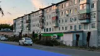 На улице Максима Горького в Калуге вырубают заражённые ясени и агрессивные американские клёны