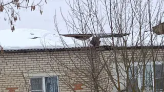В Калужской области зафиксировали пятое за день обрушение кровли жилого дома