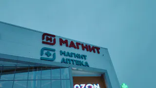 Курьеры носятся быстрее, чем я до магазина: Магнит и Перекресток запускают дарксторы — и это меняет всё