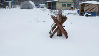 Что надо полить кипятком весной на даче, чтобы пробудить растения и убить вредителей